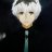 Adrian88YT