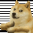 DogeDog5