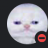 TobiLittlePP