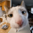 devin_is_mineral
