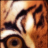 TigerGamerFTW