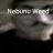 mihi14