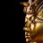 Goreg_HD