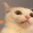 GabiGabitzu