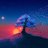 Radu_Smek2