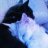 kozxy