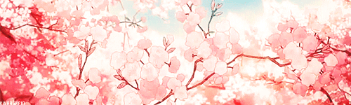 Dco2.gif
