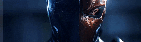giphy.gif